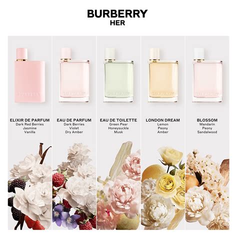 burberry her vs elixir|burberry her elixir travel size.